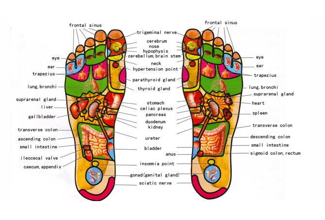 Foot Reflexology